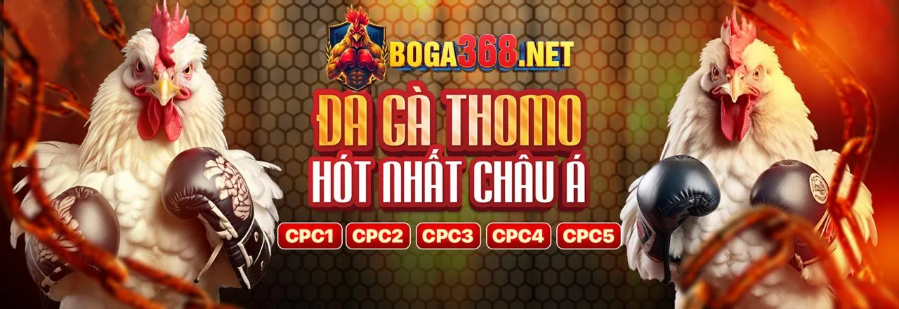 Tin tức 888vip mới nhất