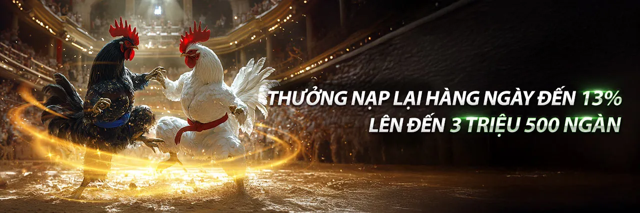 Hình ảnh đá gà trực tuyến sôi động tại 888vip