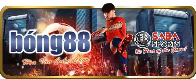 Quản lý đối tác